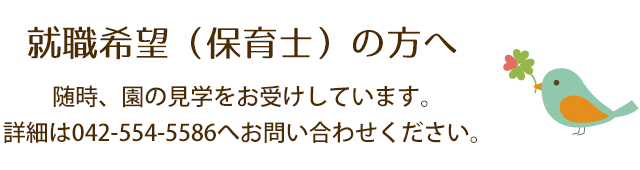 就職希望（保育士）の方へ：随時、園の見学をお受けしています