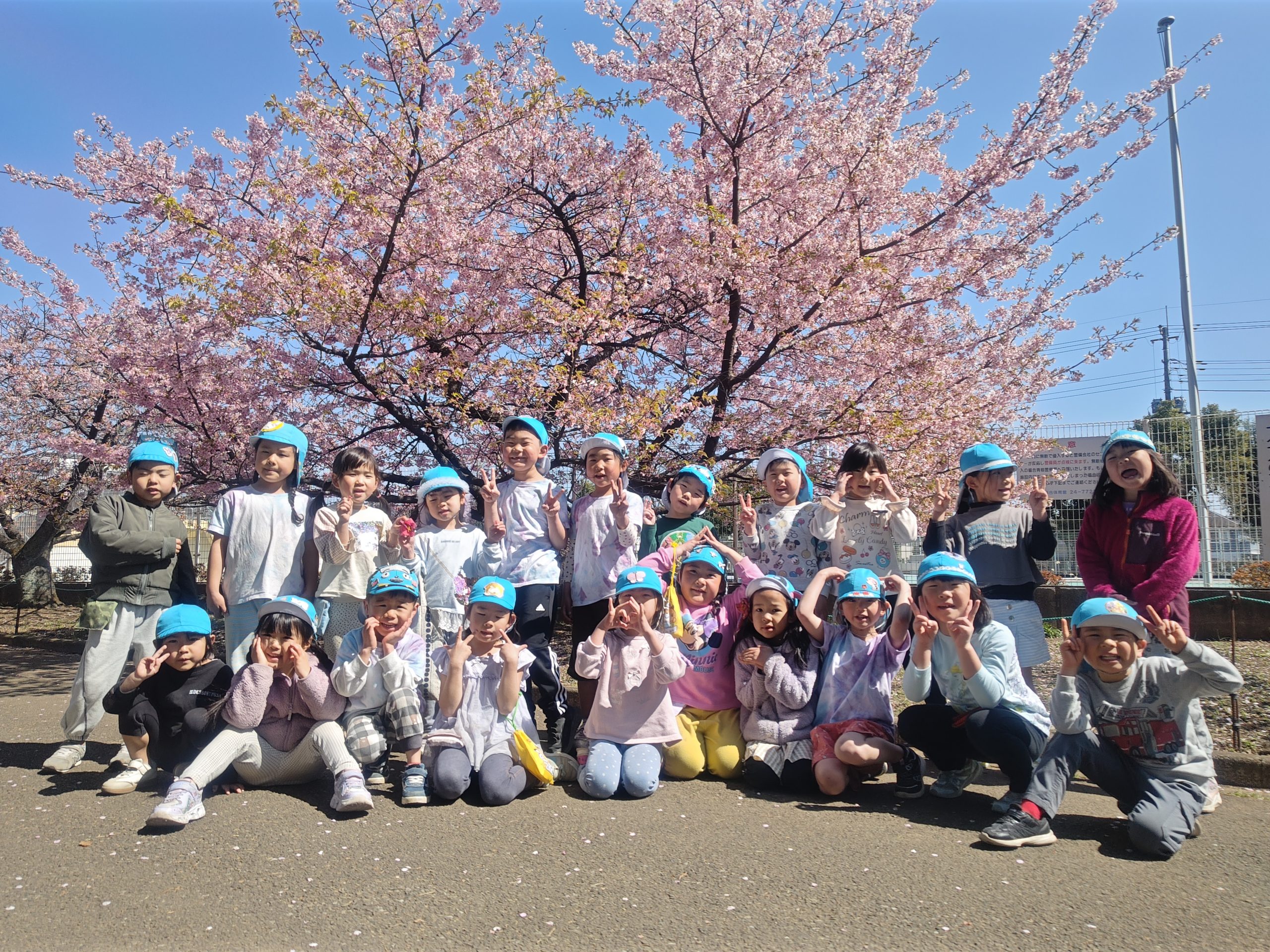 もうすぐ春ですね〜🌸